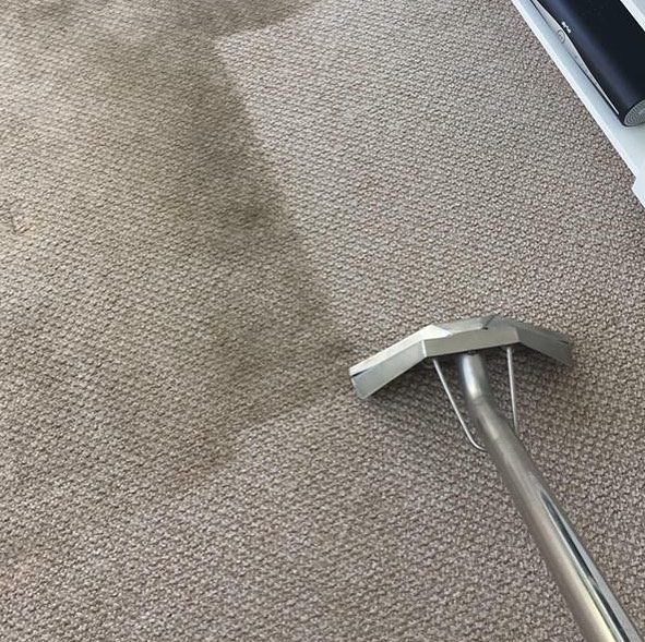 Professional cleaner wiping mirror
